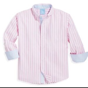 Bella Bliss Chapman Buttondown Shirt Oxford Pink Stripe NWT